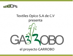 Proyecto Garrobo