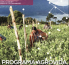 Programa AGROVIDA, foco y corazón de los agricultores: Bayer