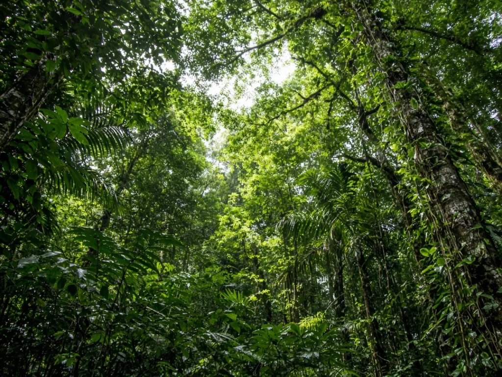 MANIFIESTO PARA EL FORTALECIMIENTO DE LA BIODIVERSIDAD EN EL SECTOR EMPRESARIAL EN LA REGIÓN CENTROAMERICANA Y EL CARIBE — imagen editorial SumaCA